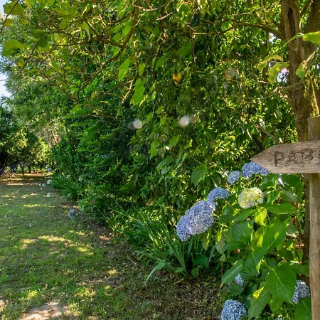 Recantos Na Portela Amares