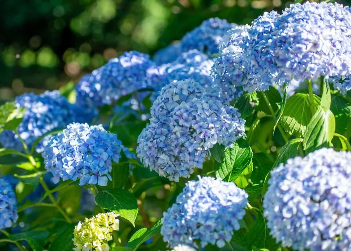 Recantos Na Portela * Amares